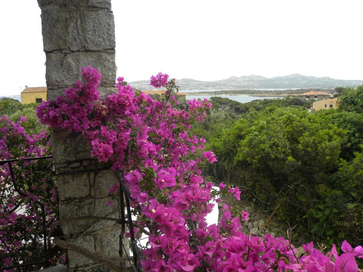 Villa Carlotta La Maddalena 라마달레나 외부 사진