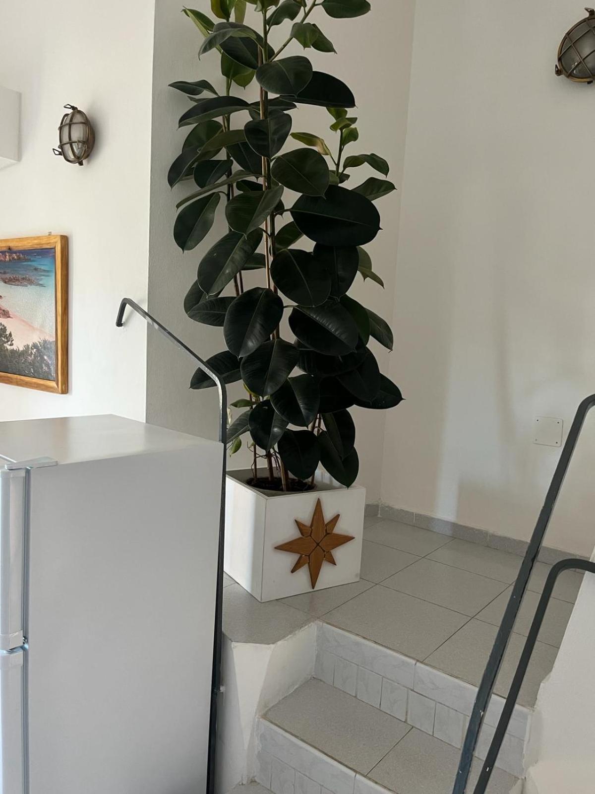 Villa Carlotta La Maddalena 라마달레나 외부 사진