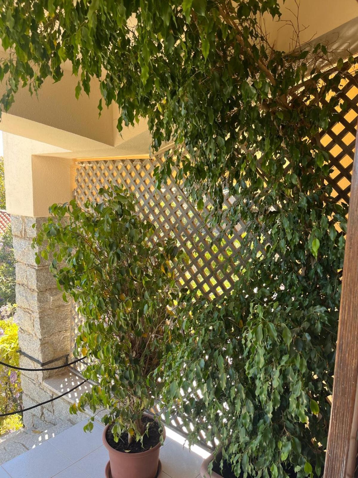 Villa Carlotta La Maddalena 라마달레나 외부 사진